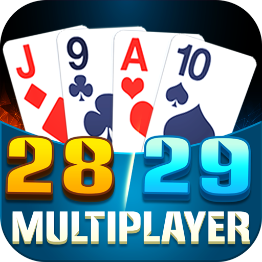 28 29 Multiplayer