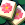 Mahjong Lotus Solitaire