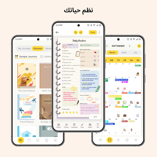 معاينة التطبيق