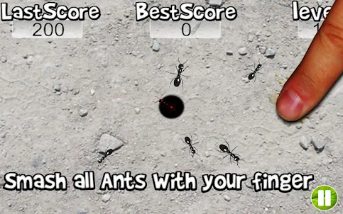 Squish these Ants 2