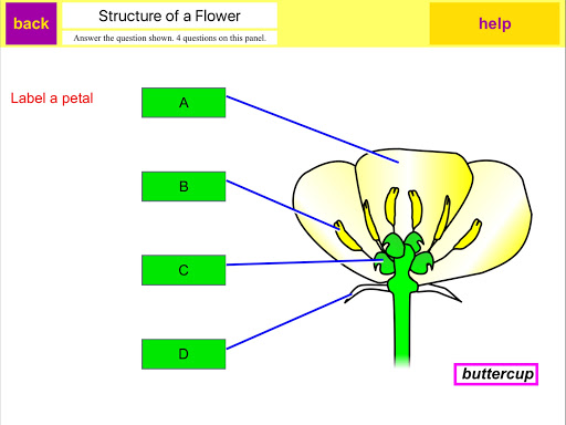 Android application KS3 Science Review screenshort
