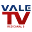 VALE TV Download on Windows