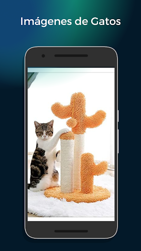 Android application Imágenes de Gatos screenshort