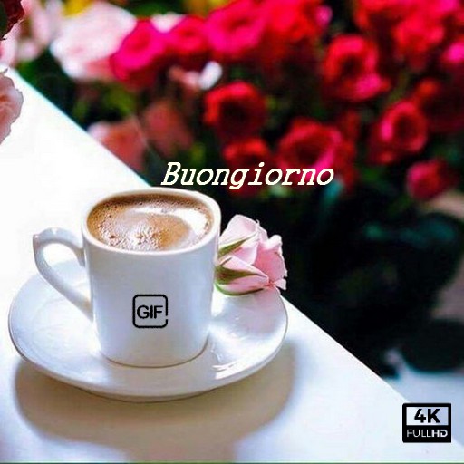 Buongiorno Immagini  GIF 2023 Download on Windows
