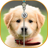 Puppy Zip Screen Lock Cute icon