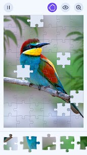 Jigsawgram: Jigsaw Puzzle Game 5