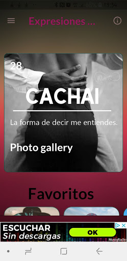 Android application CHILE LAS PALABRAS MÁS BELLAS screenshort