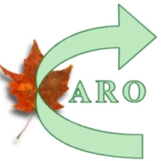 CARO Signs logo