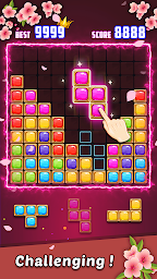 Block Puzzle: Jewel Brick