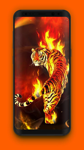 Download Fire Wallpaper HD - Lone Tiger Free for Android - Fire Wallpaper HD  - Lone Tiger APK Download 