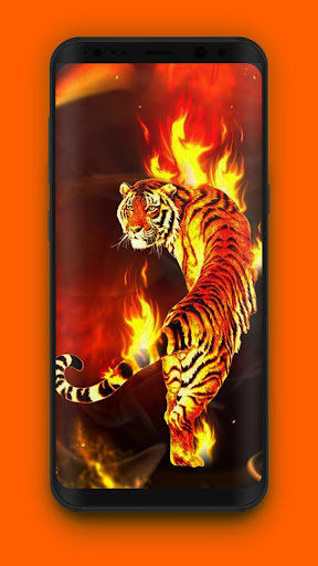 Fire Wallpaper HD - Lone Tiger