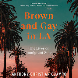 Icon image Brown and Gay in LA: The Lives of Immigrant Sons
