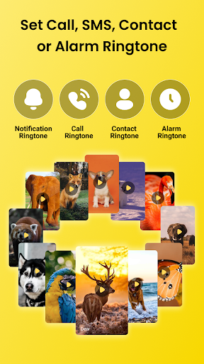 Download Animal Sounds - Bird Ringtones Free for Android - Animal Sounds -  Bird Ringtones APK Download 