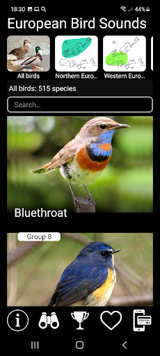 Android application European Birds Songs & Calls screenshort