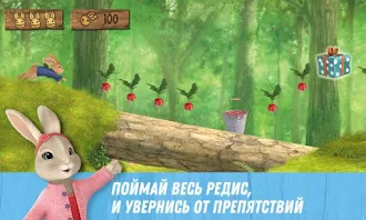 Game screenshot День рождения кролика Питера hack