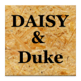 DAISY AND DUKE icon