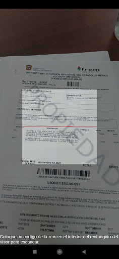 Pagos IFREM Screen 2