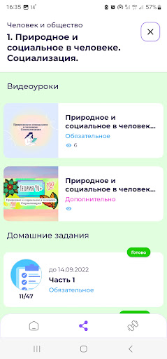 Зачетный курс Screen 3