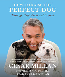 Icon image How to Raise the Perfect Dog: Through Puppyhood and Beyond