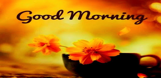Good Morning GIF Greeting Screen 3