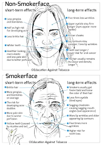 Smokerface - Quit Smoking – Apps on Google Play