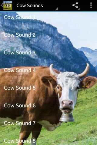 Cow Sounds Screen 2