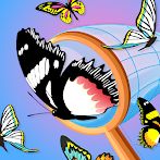 Butterfly Hunt