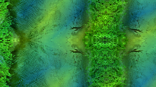 Screenshot of Mystic Nature Music Visualizer
