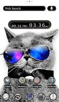 screenshot of Cool Cat x Galaxy Theme
