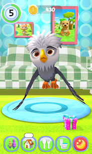 Talking Bird 5