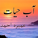 Aab a Hayat Urdu Novel by Umer