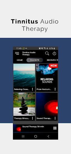 Tinnitus Audio Therapy Screenshot 3 - AppWisp.com