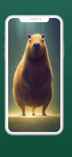 capybara wallpapers HD Screen 2