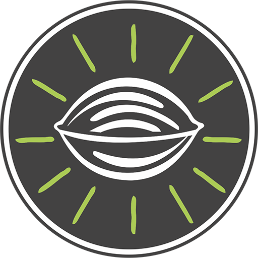 Walmiki logo