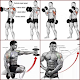 bodybuilding muscle training tutorial
