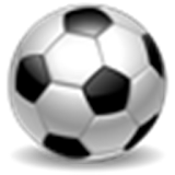 Premier League : 2015-16 icon