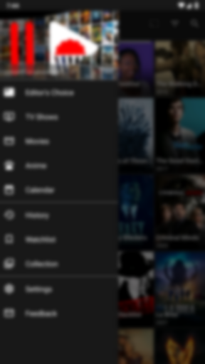 VancedFlix Screen 3