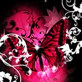 3D Butterfly 619 icon