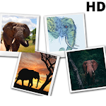 Cover Image of Tải xuống Elephant wallpapers free Maraga Apps APK