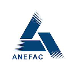 Image de l'icône ANEFAC CONECTA