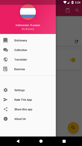 Android application Indonesian Russian Dictionary screenshort