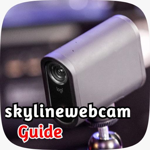 skyline webcam guide logo