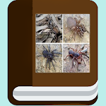 Cover Image of ดาวน์โหลด Spider species ebook  APK