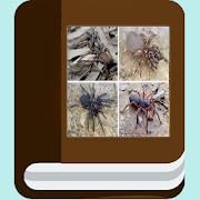 Spider species ebook