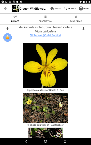 Screenshot of Oregon Wildflowers