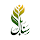 منصة سنابل