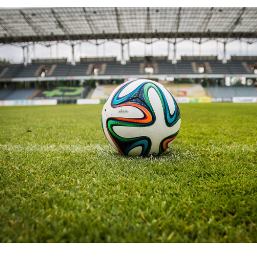 VIP Prime Football Tips logo