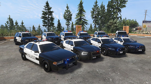 Police Car Driving Simulator Screen 3