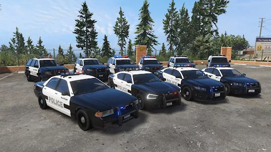 Condução de carro de polícia