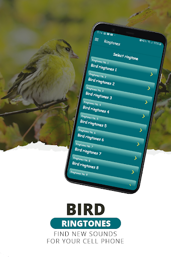 Ringtones, bird sounds Screen 2